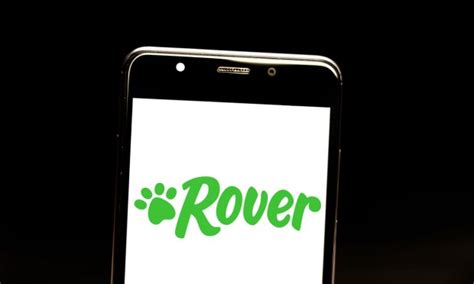 Blackstone acquires pet care app Rover in $2.3 billion all-cash deal